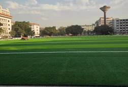 足球场建成图片2