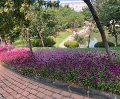 37af088d713abae5504f09945c8e4e5