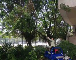 b797652d165c70c944479023f98c3b6