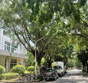 4c9d7dca88a9673887f0ea14d19dbda