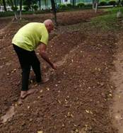 fffb82a0da57c85d6e43c8bdbf2d460