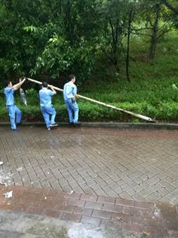 微信图片_20180916193513