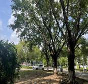 4d18e9c3fb3727ef5c5d9a0ed85753d