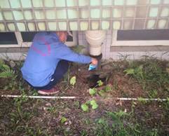 e9e68ef6383f95d287e3760a50e2681