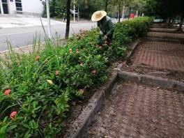 13ac6f9b1638fbffdadd82913f67ed9