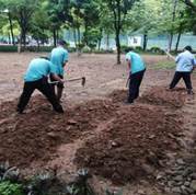 e949fe4ed038cd9cfca04579b741e90