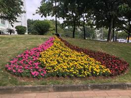 06bf36f635acd0ac579ed8e200407d1