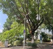 718b4c81a1877eb6fb65641e3a18172